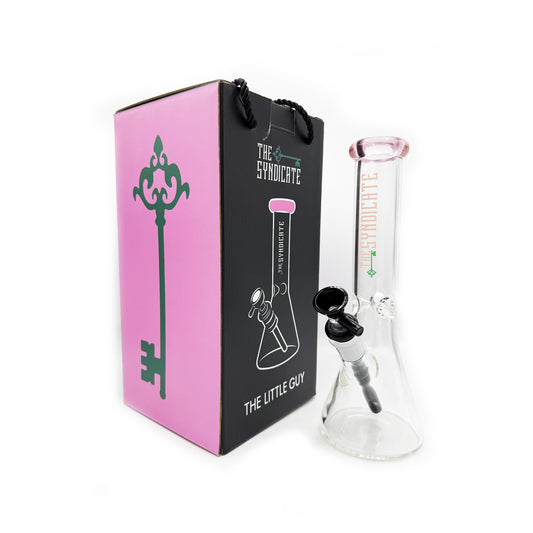 A clear glass bong with pink accents on the lid, displayed alongside its pink and black cary box with the brand 'The Syndicate' visible on it.